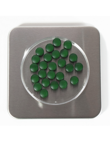 Balanza de precisión HG