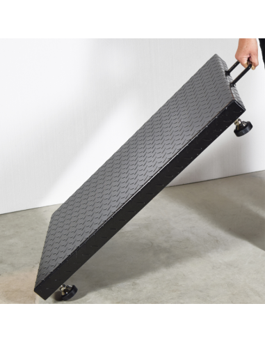 Balanza pesa personas RGT